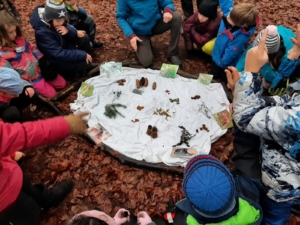 Nahrung für Waldtiere