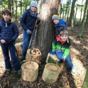 Kinder sammeln Waldgegenstände
